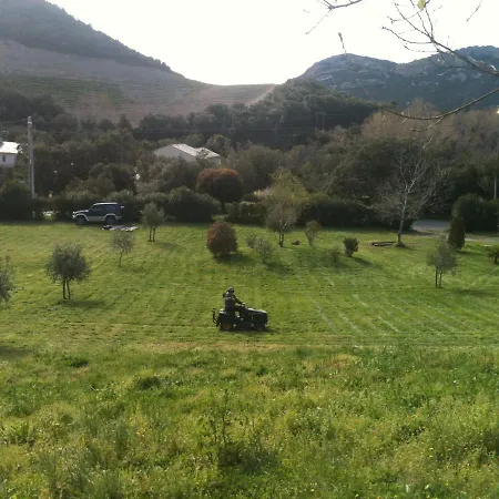 Agreable Location Au Coeur Du Vignoble Dominici Therese *