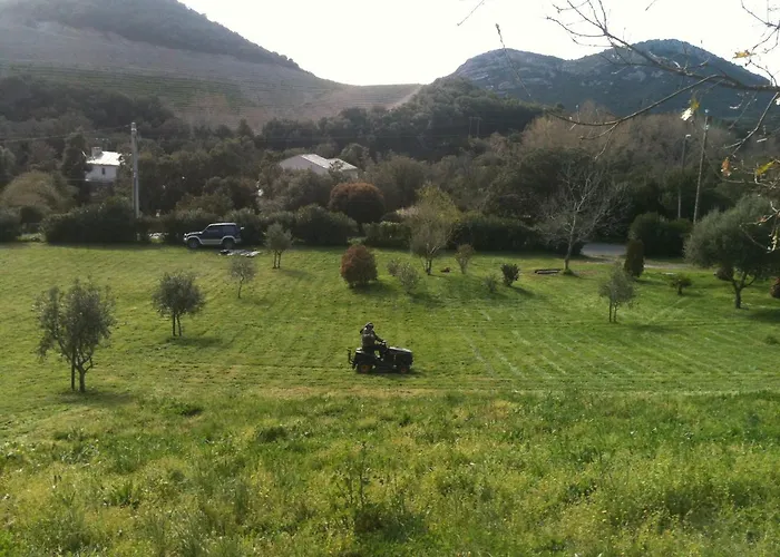 Agreable Location Au Coeur Du Vignoble Dominici Therese *