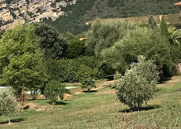 Agreable Location Au Coeur Du Vignoble Dominici Therese Lägenhet Patrimonio